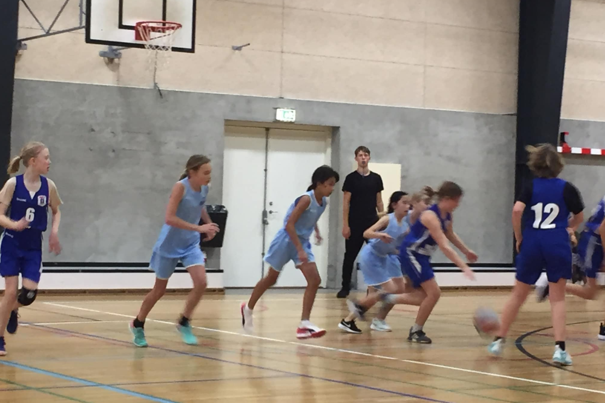 Basket